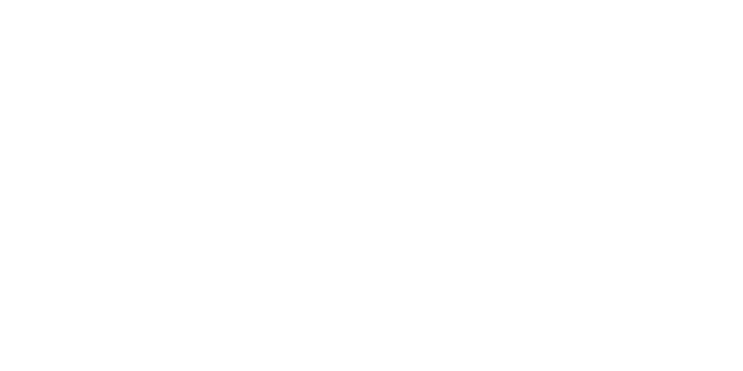 4 IUSA